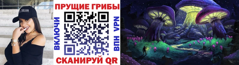 где купить наркоту  Бирюч  Псилоцибиновые грибы Magic Shrooms 